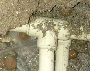 增城测漏水多少钱