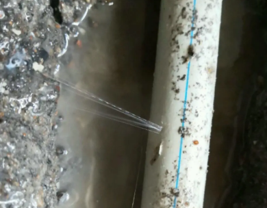 增城测漏水哪家好