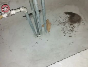 增城卫生间测漏水价格明细