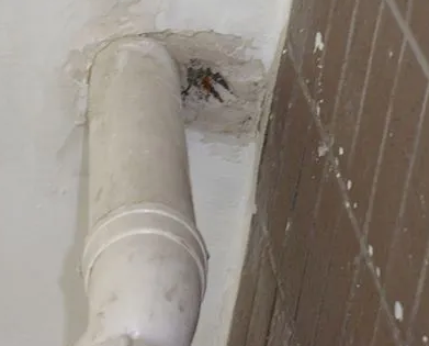 增城漏水检测哪家好